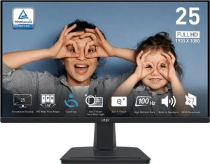 MSI Business computer monitor "25 PRO MP251