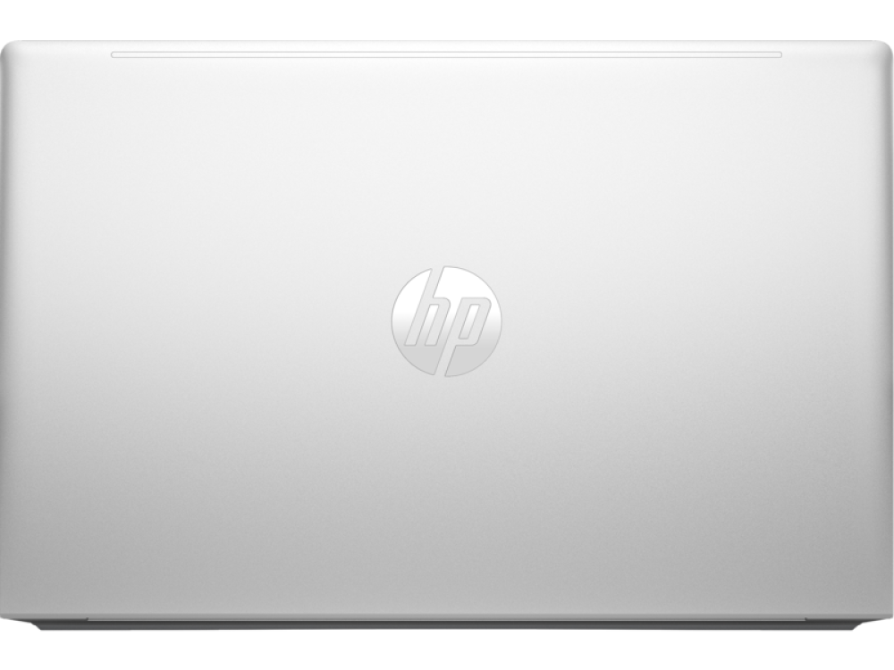 HP ProBook 450 G10 (969H2ET)