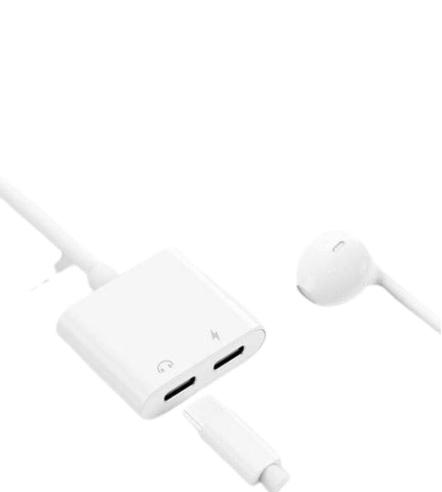 Type-C 2-in-1 Headphone Audio & Charge Adapter